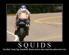 squid3