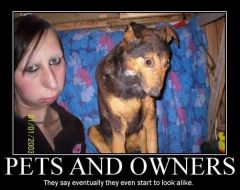 pets and owners0
