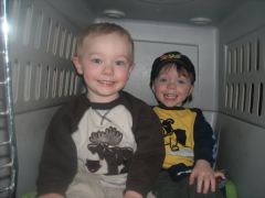 My little man in a dog cage with his cousin