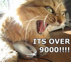 More information about "over 9000 cat"