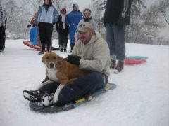 Taking my dog, Havoc, sledding!