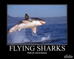 flying sharks