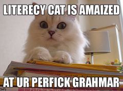 Literecy Cat