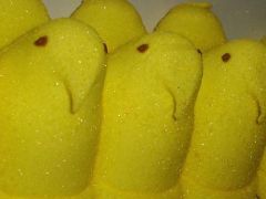 More information about "peeps"