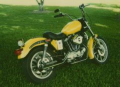 My old '81 Ironhead Sportster, rebuit it from a basket case with a hole the size of a quarter in one piston. Custom mixed paint, rode to Daytona, bikeweek twice before selling to move to Ohio from Fla.