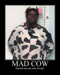 Mad cow