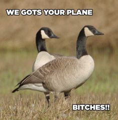 We gots your plane