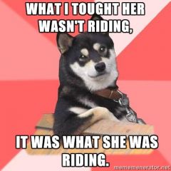 it was what she was riding cool dog