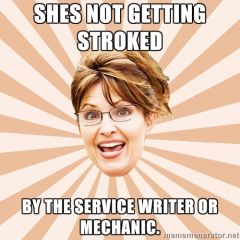 NOT GETTING STROKED PALIN