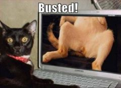 Busted!
