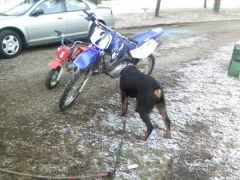 02 ttr125 and 02 xr50 and 08 Rottweiler