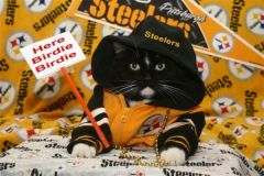 Steelers' cat