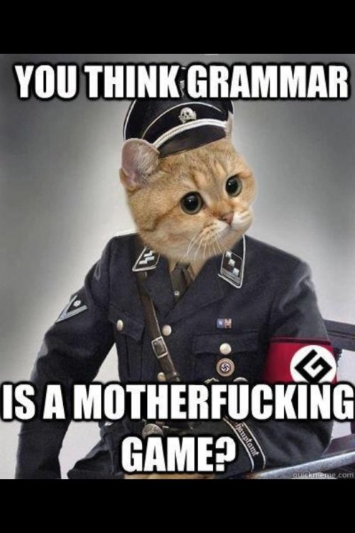 grammar_nazi_cat_by_latilover-d62mu1p.jpg