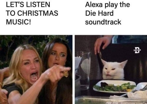cat-alexa-play-die-hard-lets-listen-christmas-music-soundtrack.jpg.9dc1de32406164a755c5a5405b02fff5.jpg