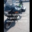 bmwnut